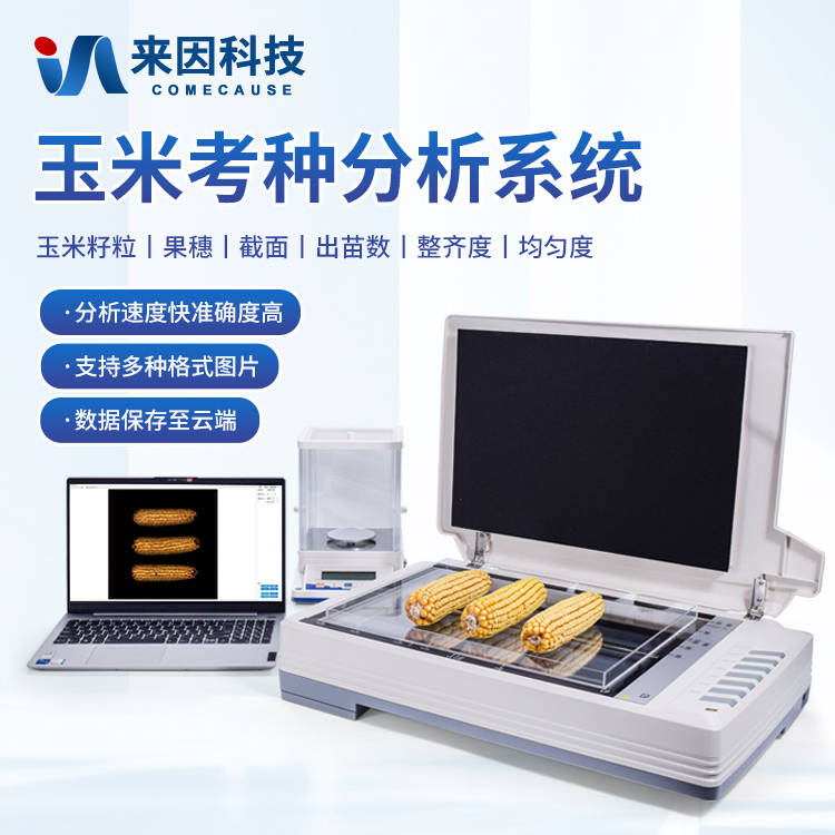 油尖旺区疏附县农业农村局购进来因…
